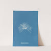 Polysiphonia thuyoides (1843-1853) by Anna Atkins
