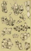 Polyzoa V