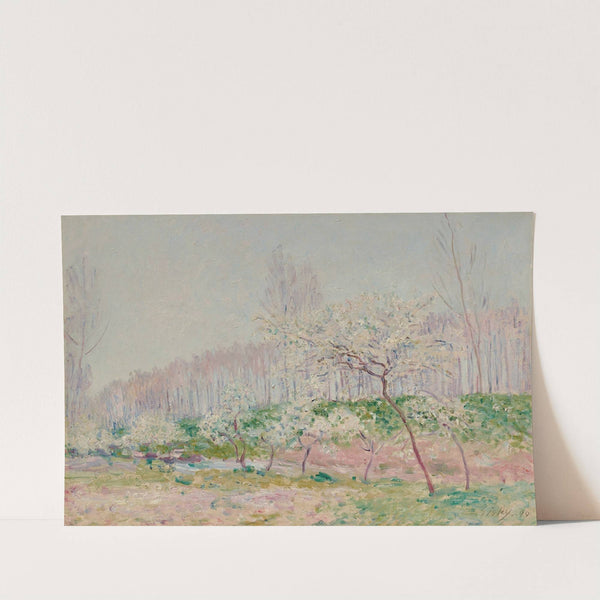 Pommiers en fleurs (1890) by Alfred Sisley