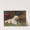 Poodle Resting on the Hearth (19th century) by French School