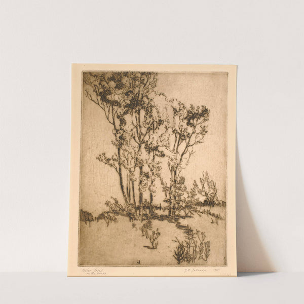 Poplar Trees by Thomas Eddy Tallmadge