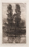 Poplars, Royal Garden, Schleissheim (1879)