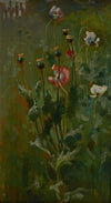 Poppies in Bloom