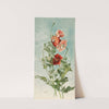 Poppies by Thaddeus Welch