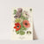 Poppy Anemone (1896-1897) by Edward Step
