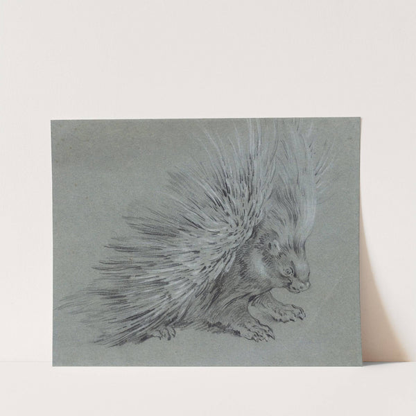 Porcupine by Jean-Baptiste Oudry