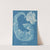 Porphyra laciniata by Anna Atkins