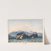 Porto da Ilha, St. Michaels, Azores by Charles Hamilton Smith