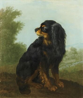 Portrait De Cavalier King Charles
