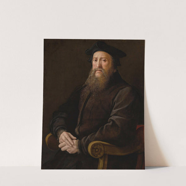 Portrait Of A Gentleman by Girolamo Mazzola Bedoli