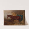 Portrait of a Horse by H. Moore