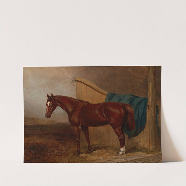 Portrait of a Horse by H. Moore