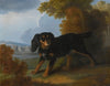 Portrait Of A King Charles Spaniel In A Landscape