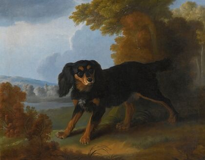 Portrait Of A King Charles Spaniel In A Landscape