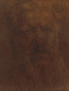 Portrait of a Man