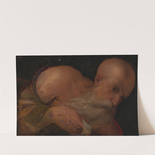 Portrait of a Man by Benvenuto Tisi