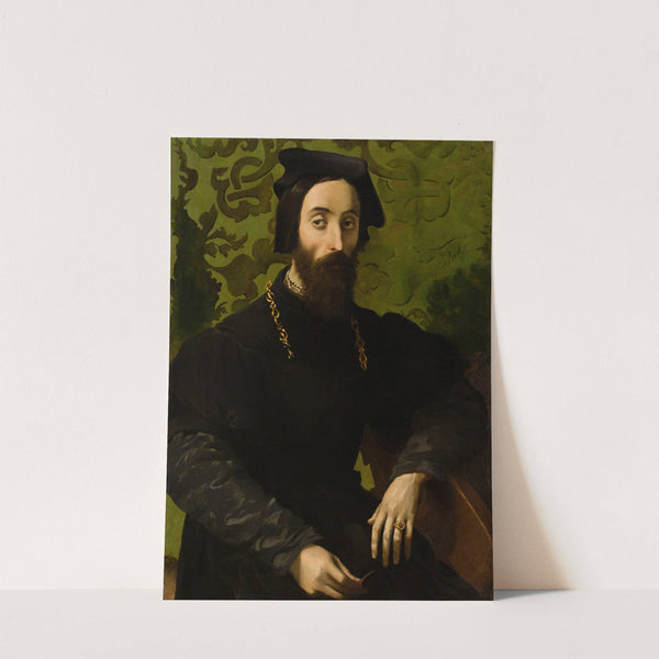 Portrait of a Musician (c.1540) by Girolamo Mazzola Bedoli