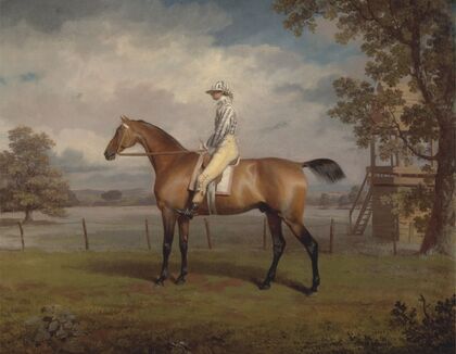 Portrait of a Racehorse, Possibly Disguise, the Property of the Duke of Hamilton, with Jockey Up — size preview