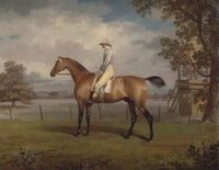 Portrait of a Racehorse, Possibly Disguise, the Property of the Duke of Hamilton, with Jockey Up