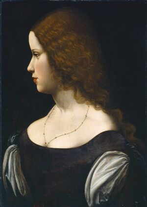 Portrait of a Young Lady