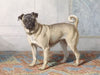 Portrait of Edwin vom Rath’s Pug