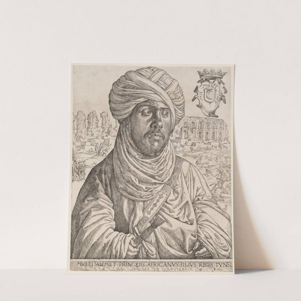 Portrait of Mulay Ahmad by Jan Cornelisz Vermeyen