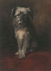 Portrait of the Dog Phoebus