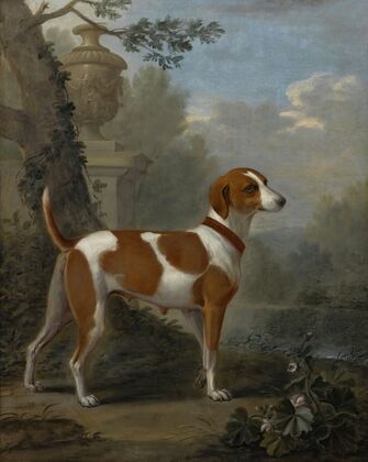 Portrait Of The Duke Of Hamiltonâs Hound ‘jewell’