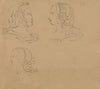 Portrait Studies of Women in Various Headdress