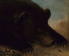 Portraits of a Grizzly Bear and Mouse, Life Size