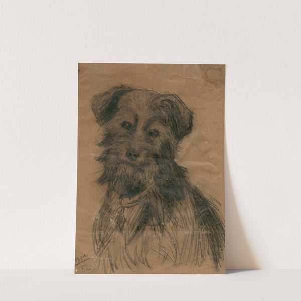 Portret van een hond by Frans Smissaert