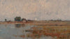 Potomac Marshlands with the United States Capitol in the Distance