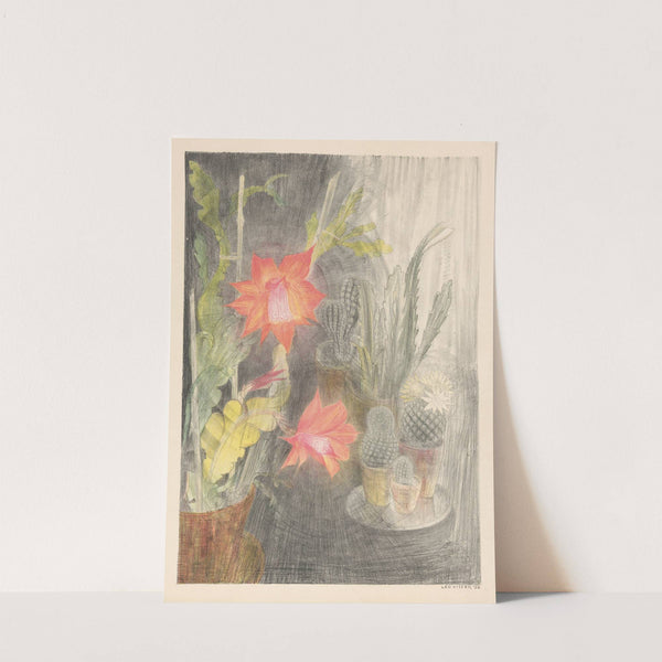 Pots with cacti and plants in bloom by Leo Visser