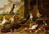 Poultry Farm
