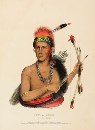 Pow-A-Sheek. A Fox Chief