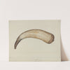 Powder Horn by Howell Rosenbaum