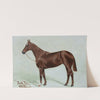 Pretty Polly by George Paice