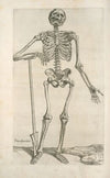 Prima ossium tabula [Human skeleton leaning on a spade]