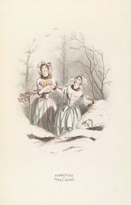 Primevere et Perce Neige