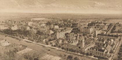 Princeton University (1916-1920)