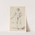 Principe (anatomie masculine) (1777-1825) by Jean Jacques Lequeu
