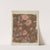 Printed Calico by Arelia Arbo