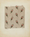 Printed Cotton