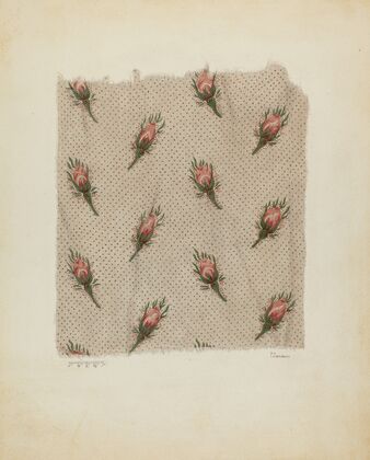 Printed Cotton