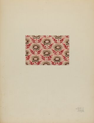 Printed Cotton