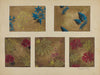 Printed Textiles