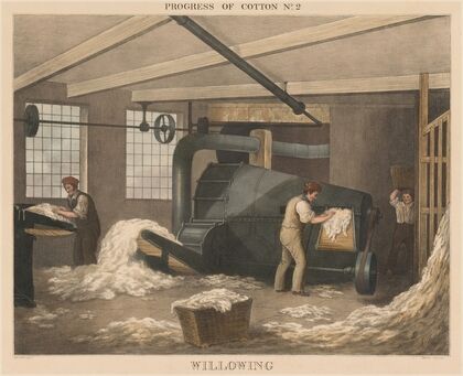 Progress of Cotton; #2 –Â Willowing
