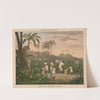 Progress of Cotton; #4 - Carding by James Richard Barfoot