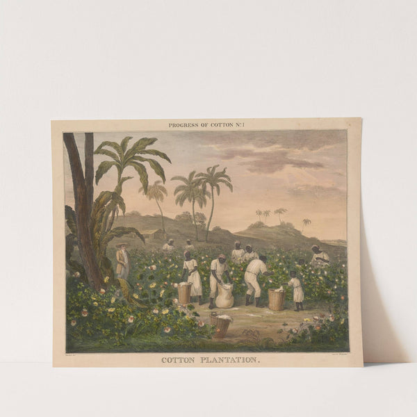 Progress of Cotton; #4 - Carding by James Richard Barfoot