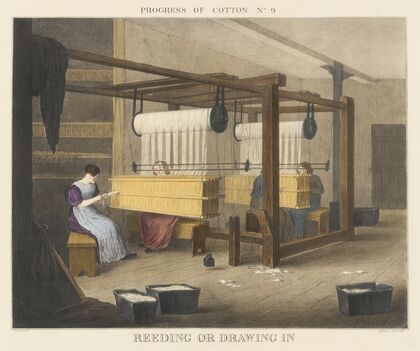 Progress of Cotton; #9 – Reeding or drawingÂ in — size preview